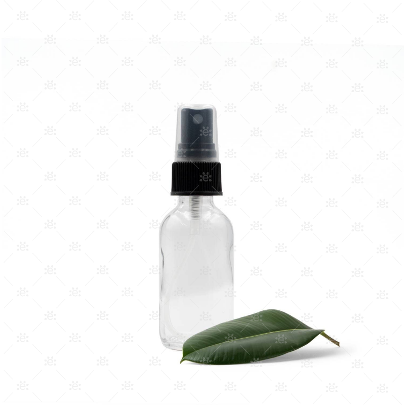 30ml Clear Glass Bottle with Spray Head (3 pack) Glass Spray Bottle