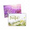 Class Invitations : Roman Chamomile (20 per pack)