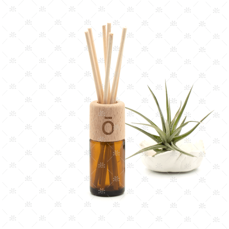 Reed Diffuser for Essential Oil Bottle Accessories & Caps