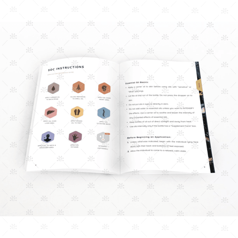Symphony of the Cells™ Application Book  & Body Systems Chart Bundle