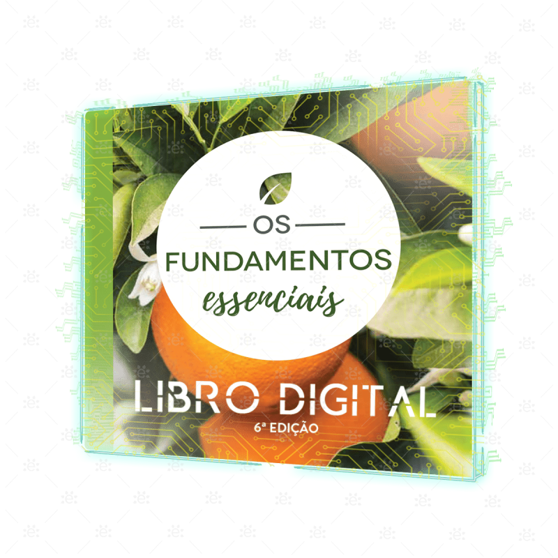 Os Fundamentos Essenciais 6ª Edição Português [Livro Digital]